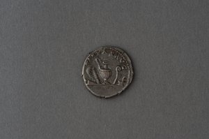 Commodus